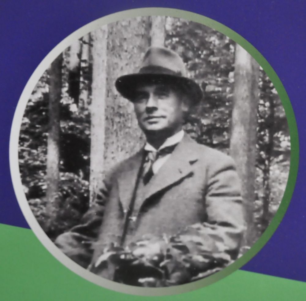 max lindow